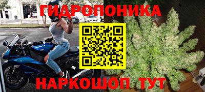 герыч Бердск