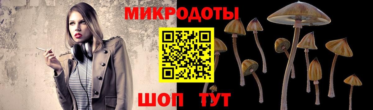 Псилоцибиновые грибы Magic Shrooms Тула